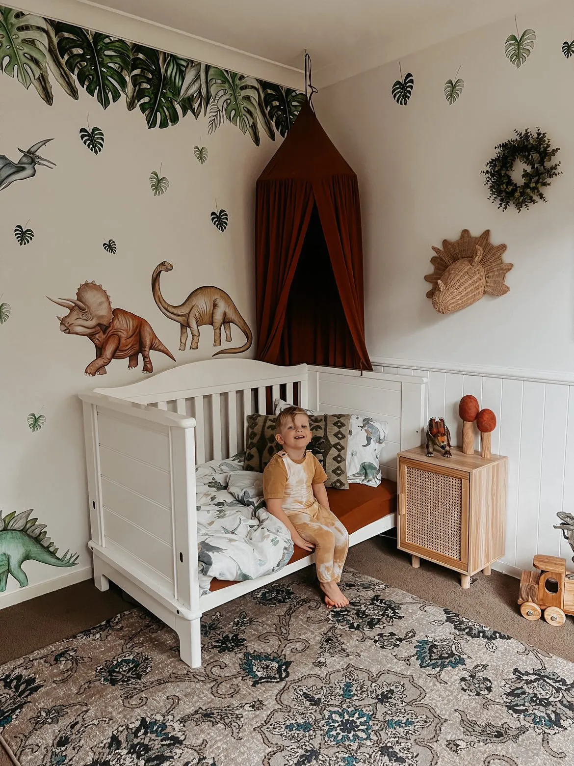 Dinosaurs Wall Decals Australian Design Hand Painted Peel & Stick, Removable Wall Decal. Nursery, Kids Playroom, Kids Teens Bedroom