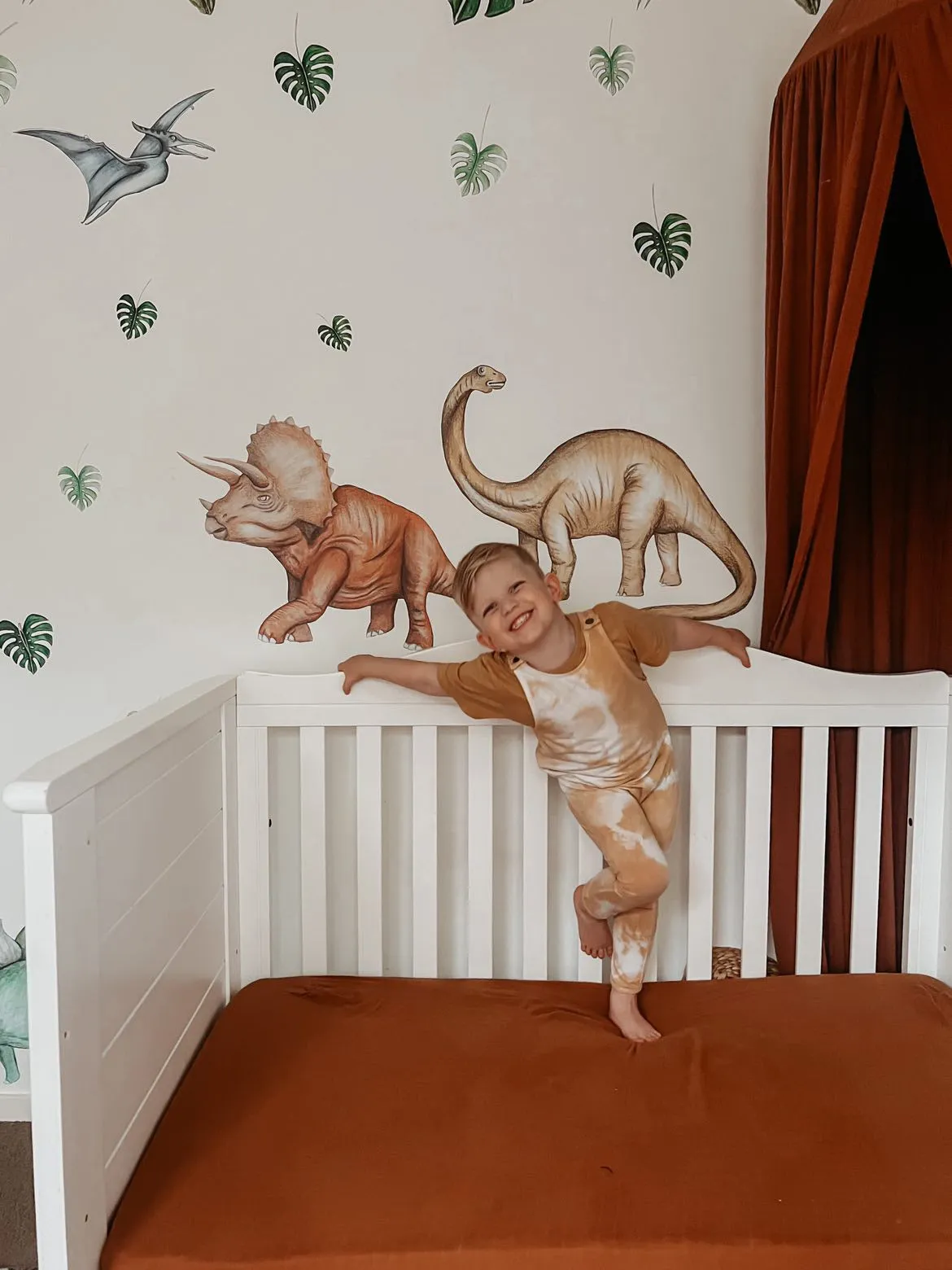 Dinosaurs Wall Decals Australian Design Hand Painted Peel & Stick, Removable Wall Decal. Nursery, Kids Playroom, Kids Teens Bedroom