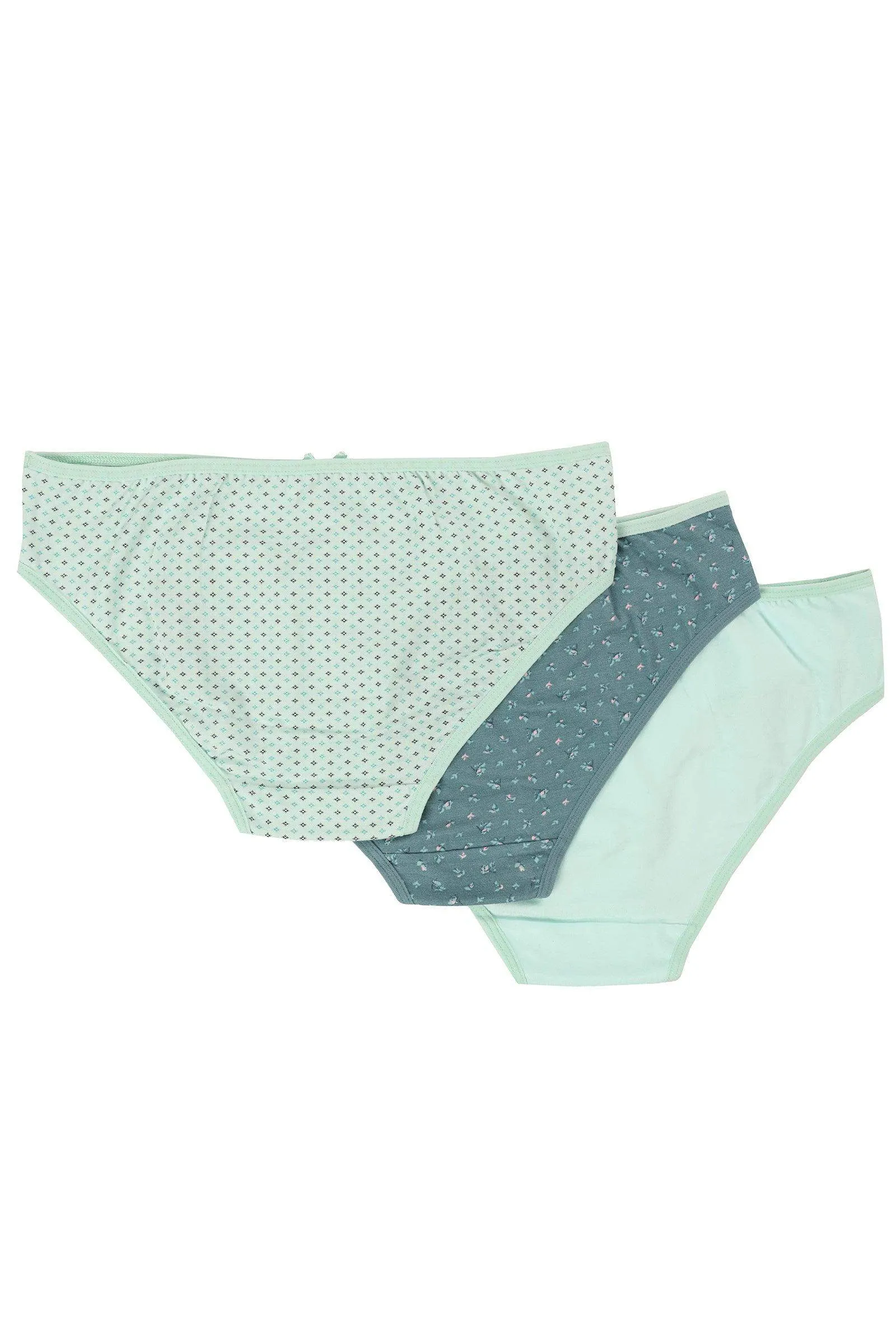 Pack of 3 Colored Bikini Panties