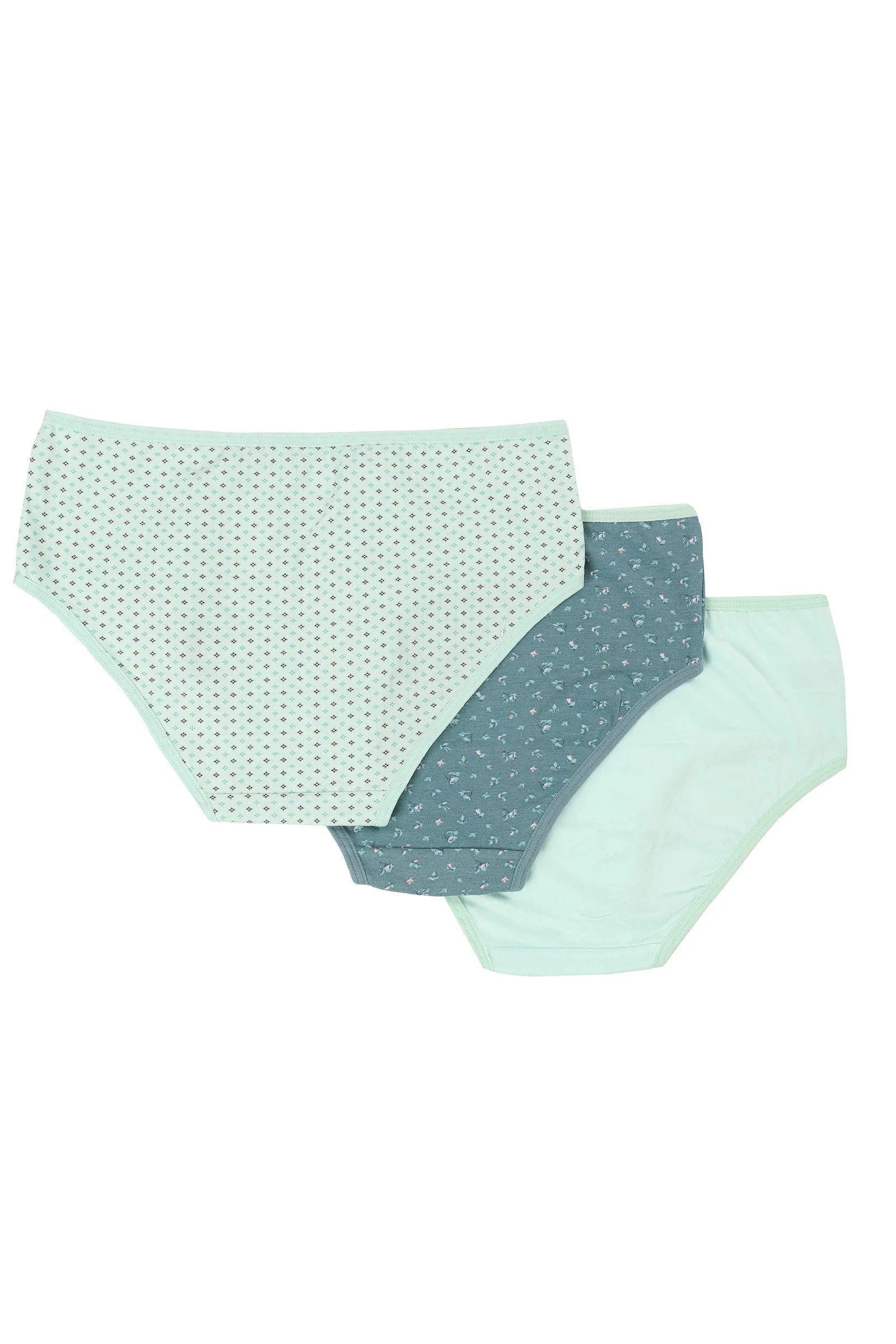 Pack of 3 Colored Brief Panties