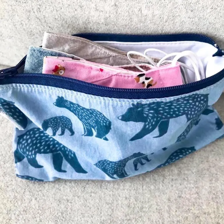 Sandwich Sized Reusable Zippered Bag Popsicles