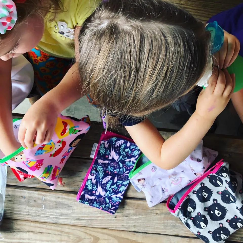 Sandwich Sized Reusable Zippered Bag Popsicles