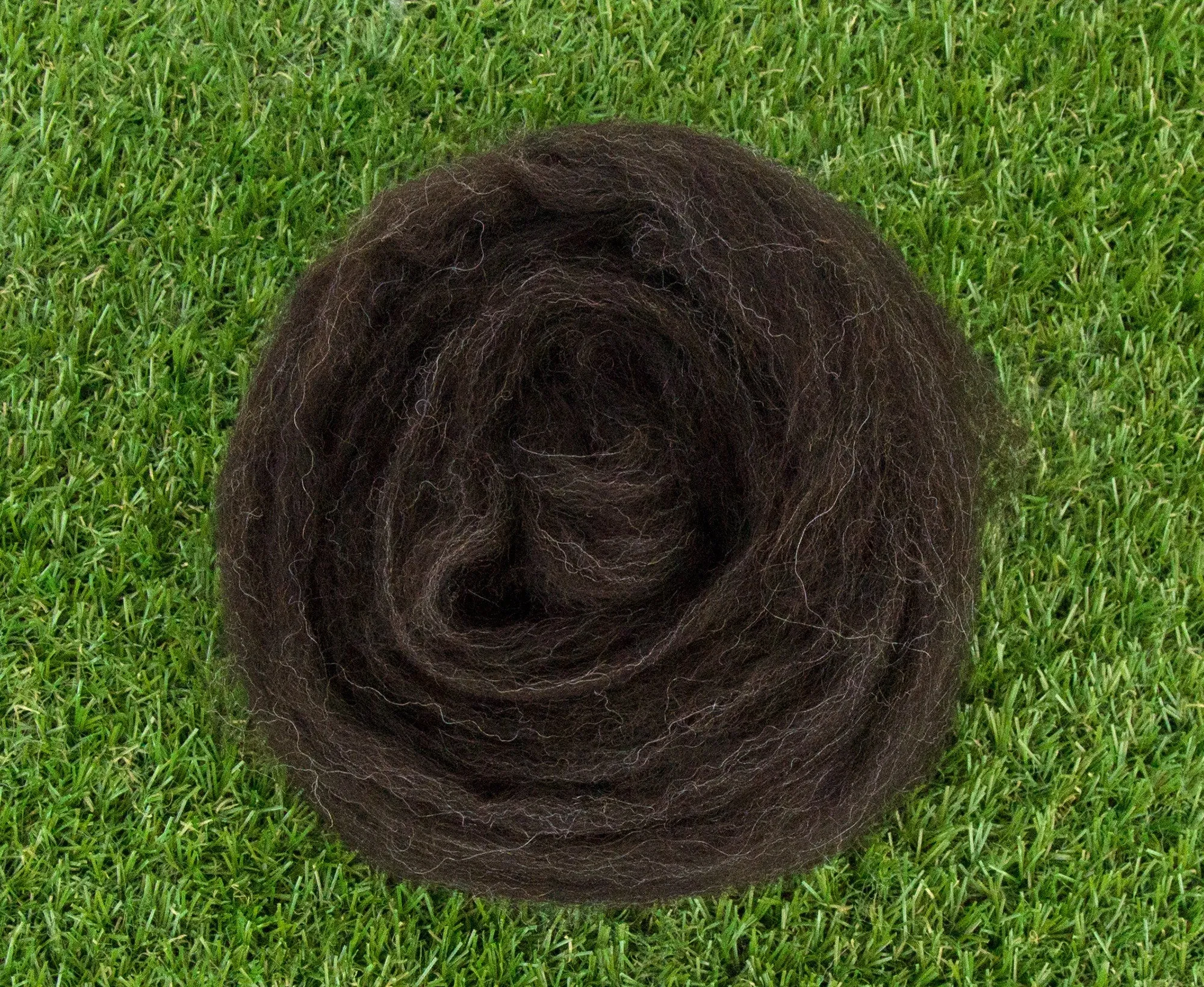 Zwartbles Top